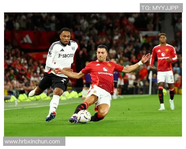 足球历史十大空门球星盘点 谁是最具空门杀手气质的球员